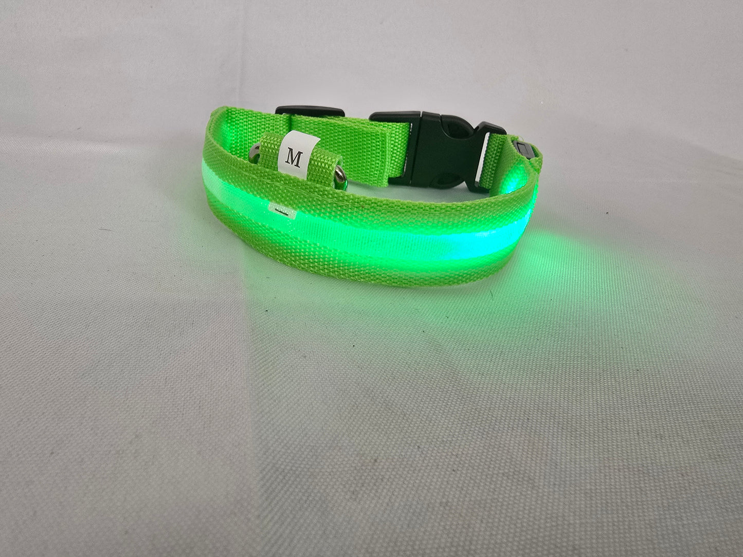 Hundehalsband in Grün mit Licht